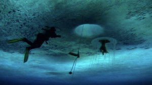 La salvaje y azul lejanía