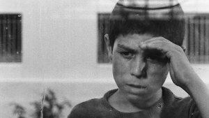 El viajero