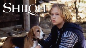 Shiloh
