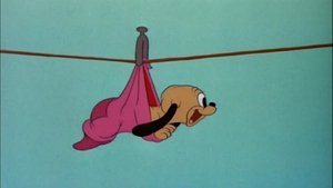 Pluto Junior