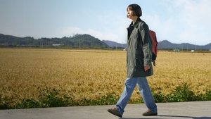 박하경 여행기