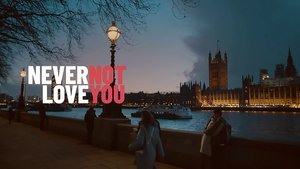 Never Not Love You