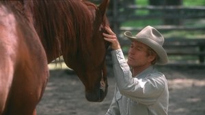 El hombre que susurraba a los caballos