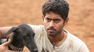 பரியேறும் பெருமாள்