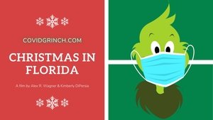 Christmas In Florida