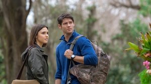 Volver en primavera