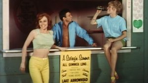A Swingin' Summer