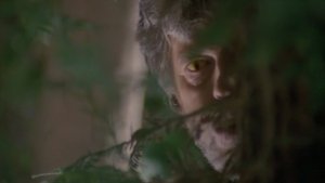 El silencio del miedo