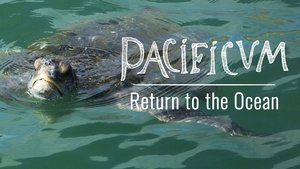 Pacificum: El retorno al océano