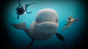 Katak, la pequeña ballena blanca