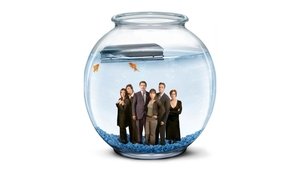 Enredos de familia (Eulogy)