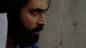 سرزمین مادری