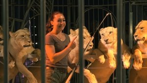 Wild Women: Gentle Beasts