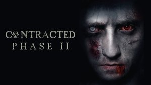 Contracted: Phase II
