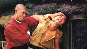An Old Kung Fu Master