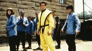 American Ninja 5