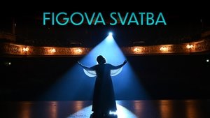 Un romance con Fígaro