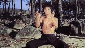 Bruce and Shaolin Kung Fu