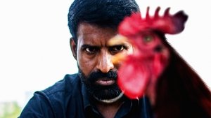 கொட்டுக்காளி