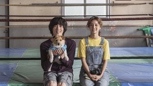 판소리 복서