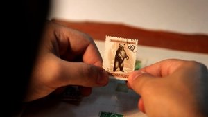 Crespo (La continuidad de la memoria)