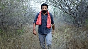 கிடாரி