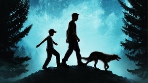 The Stray
