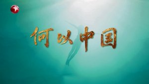 何以中国