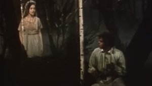 Song of the Forest