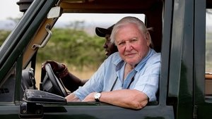 David Attenborough: Una vida en nuestro planeta