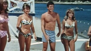 A Swingin' Summer
