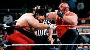 WWE In Your House 8: Beware of Dog