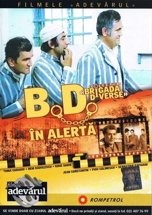 B.D. în alertă