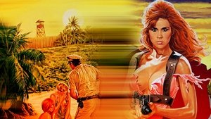 Los piratas de las islas salvajes
