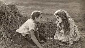Pollyanna