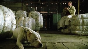 Bombón el perro