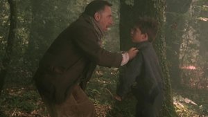 El bosque animado