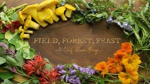 Field, Forest, Feast