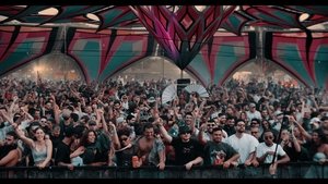 We Will Dance Again