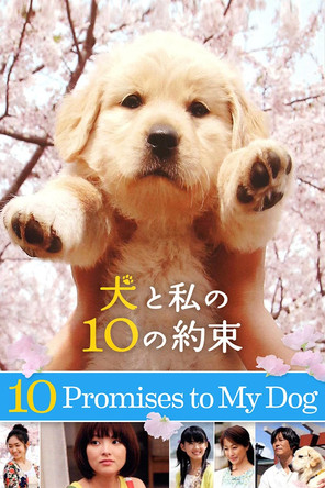 10 Promises to My Dog