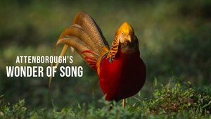 Maravillas sonoras con David Attenborough