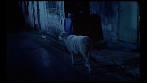 Aunque es de noche
