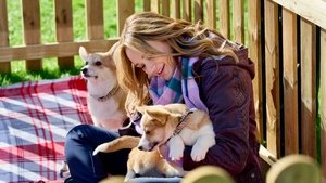 A Royal Corgi Christmas