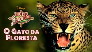 El jaguar del Amazonas
