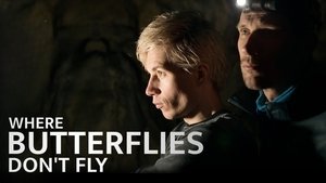 Where Butterflies Don't Fly