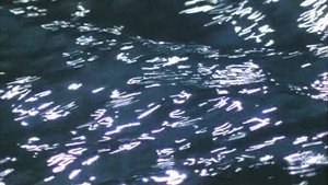 The Blue Planet
