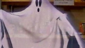 Un fantasma en la red