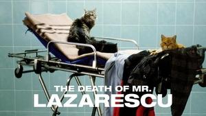 The Death of Mr. Lazarescu