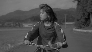 Kontora
