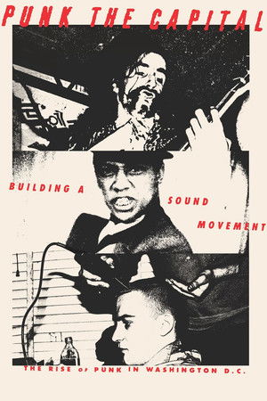 Punk the Capital: Building a Sound Movement